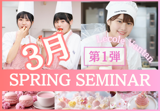 【SPRING　SEMINAR開催！】進路選び本格化！中学2年生と高校2年生向け体験イベント開催！プレエントリーしている方もまだの方も大歓迎です！